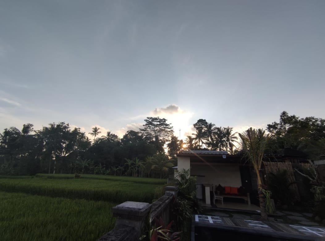 Anggarakasih Ubud Villa Kültér fotó